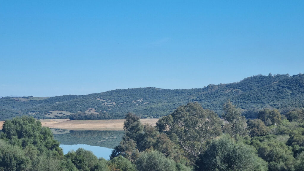 Finca - Cortijo Castellar de la Frontera Cádiz - image 3