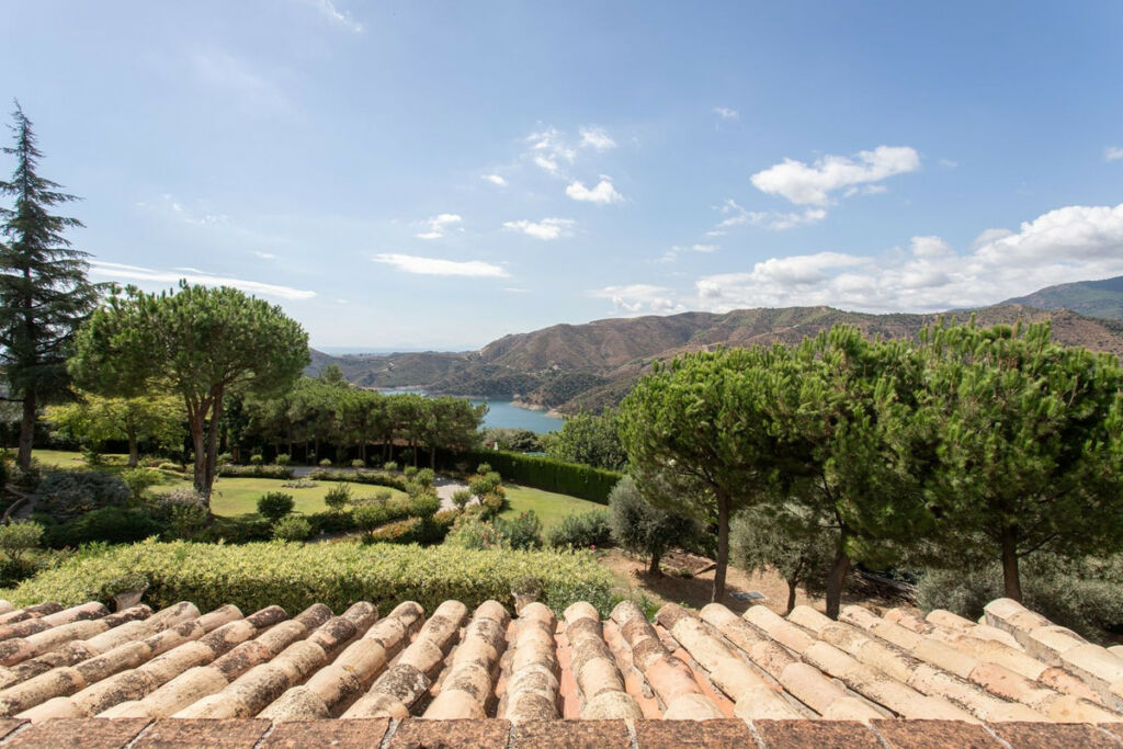 Detached Villa Istán Málaga - image 3