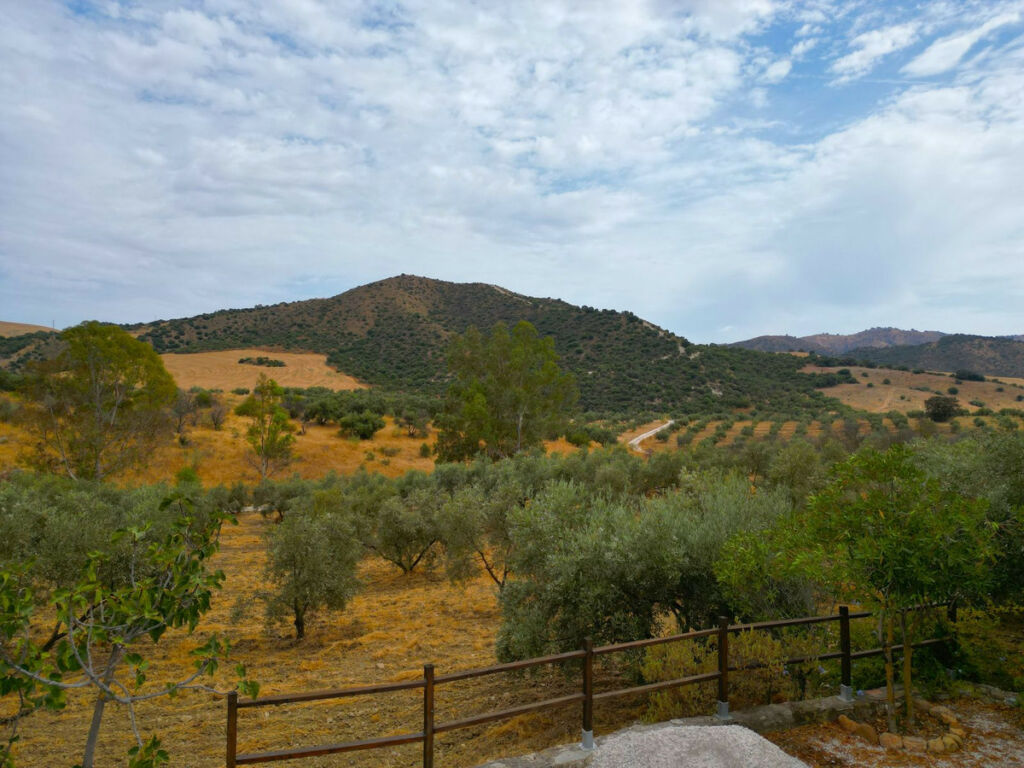 Finca - Cortijo Alora Málaga - image 3