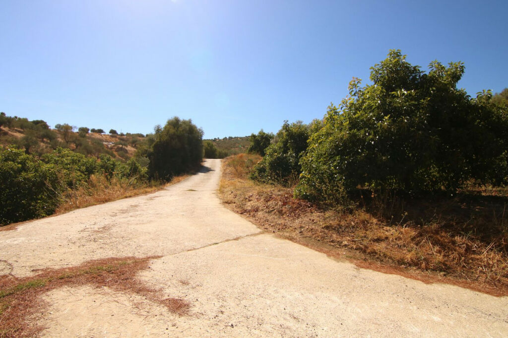 Finca - Cortijo Tolox Málaga - image 3