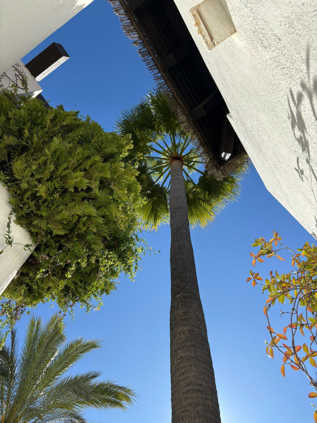 Ground Floor Apartment Marbella Málaga - image 3