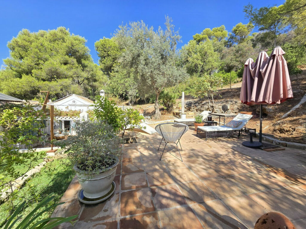 Detached Villa Marbella Málaga - image 3