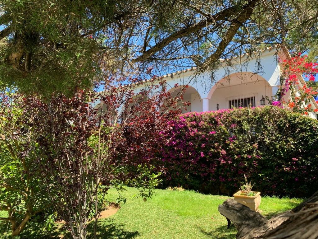 Detached Villa Marbesa Málaga - image 3
