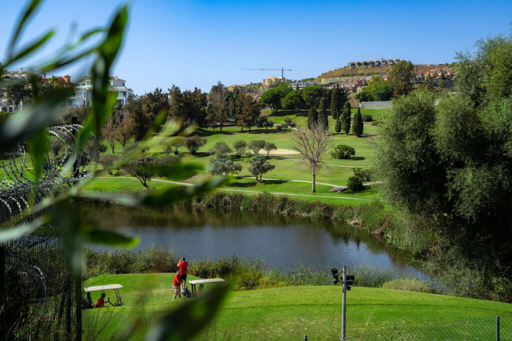 Residential Plot Benahavís Málaga - image 3