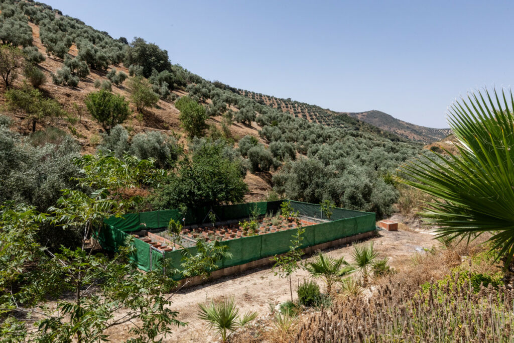Finca - Cortijo Cuevas De San Marcos Málaga - image 30
