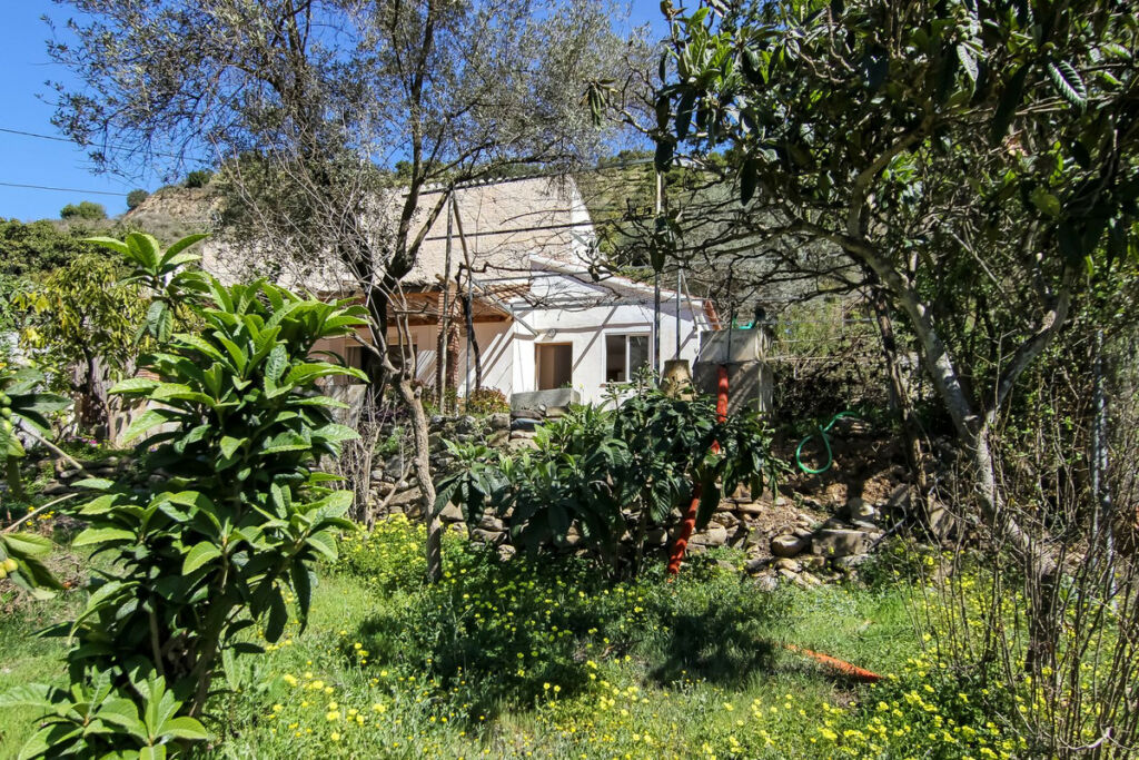 Semi-Detached House Cútar Málaga - image 30