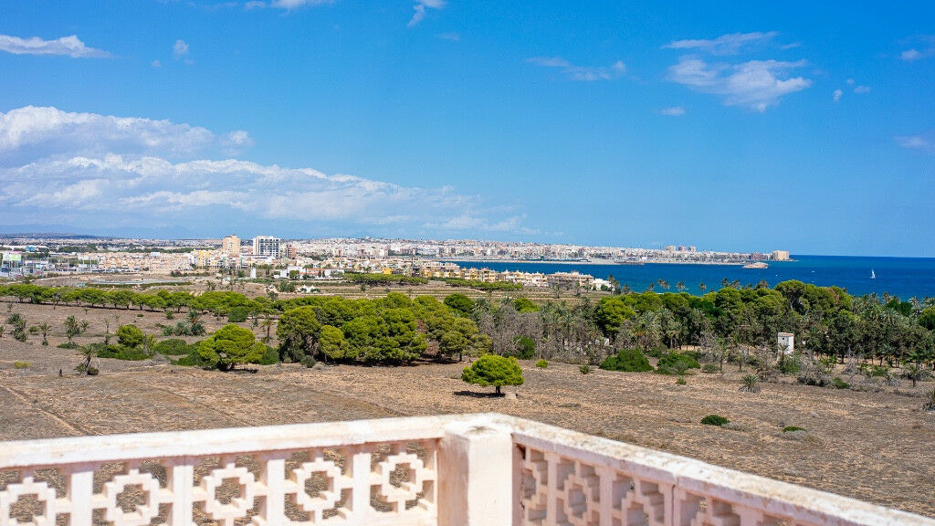 Middle Floor Apartment Punta Prima Alicante - image 30