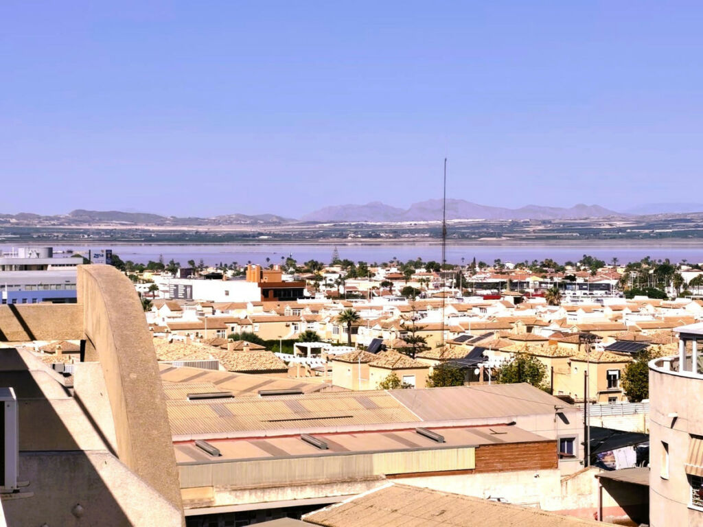 Middle Floor Apartment Torrevieja Alicante - image 31