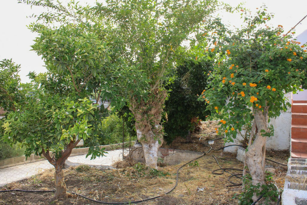 Detached Villa Nerja Málaga - image 31
