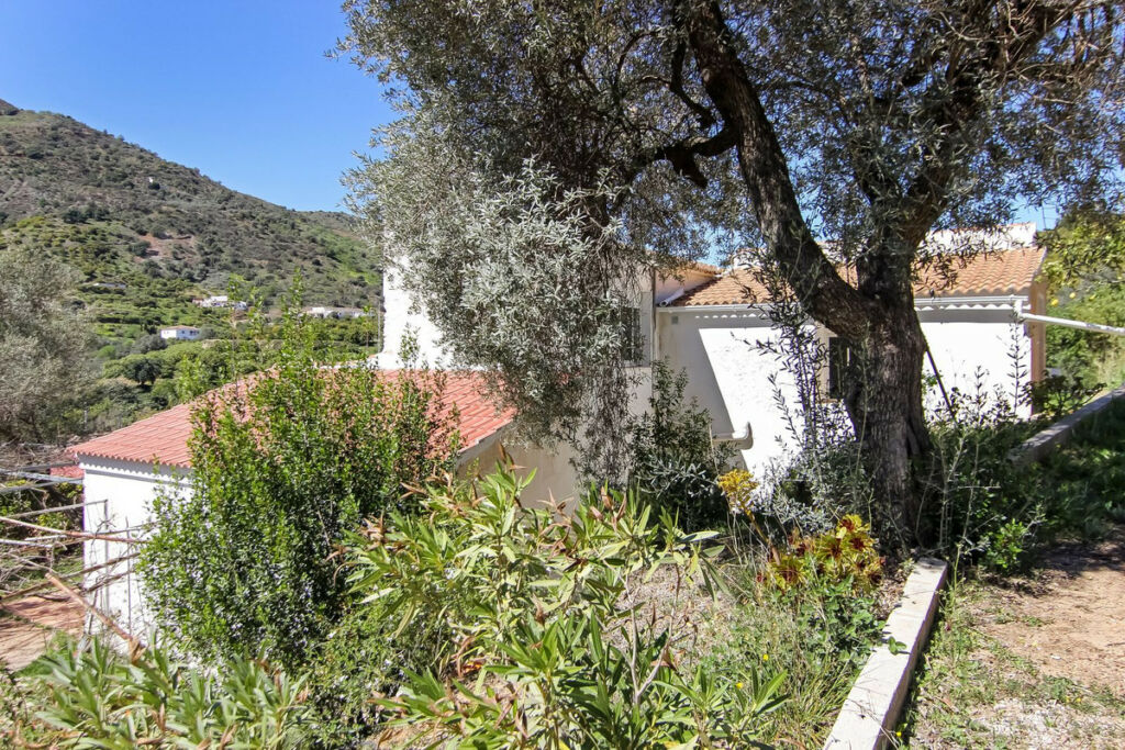 Semi-Detached House Cútar Málaga - image 32