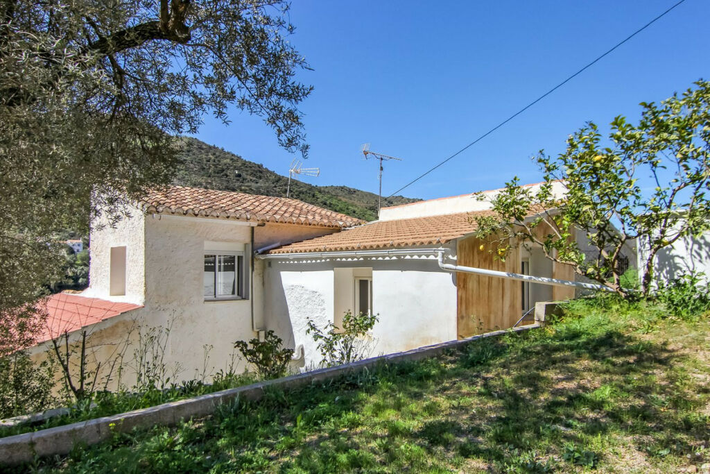 Semi-Detached House Cútar Málaga - image 33