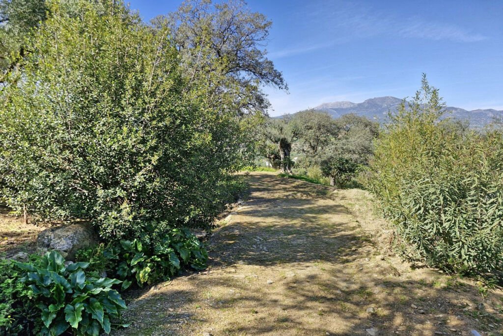 Finca - Cortijo Coín Málaga - image 33
