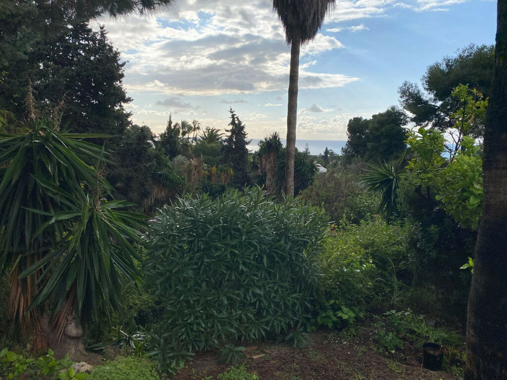 Detached Villa Calahonda Málaga - image 33