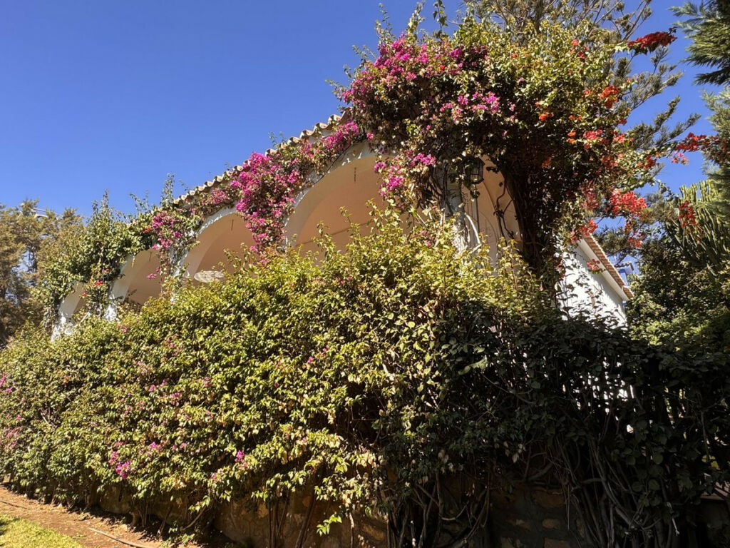 Finca - Cortijo Marbesa Málaga - image 28