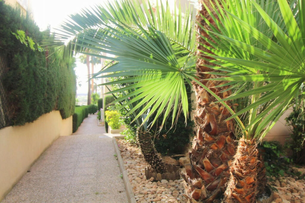 Middle Floor Apartment La Veleta Alicante - image 34