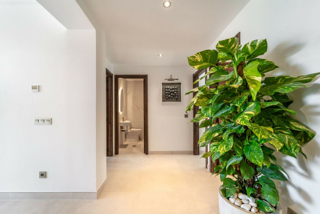 Penthouse La Quinta Málaga - image 35