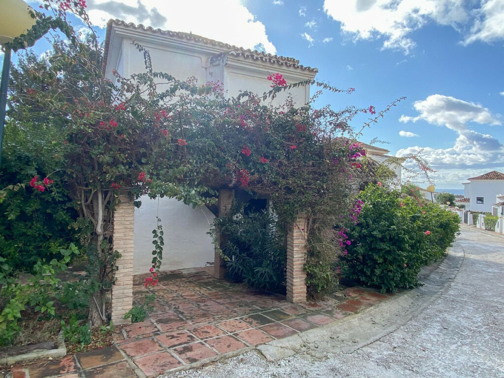 Detached Villa Calahonda Málaga - image 35