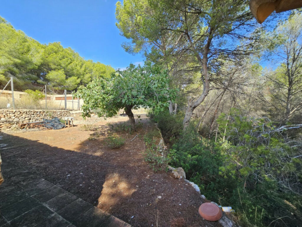 Finca - Cortijo Calpe Alicante - image 35