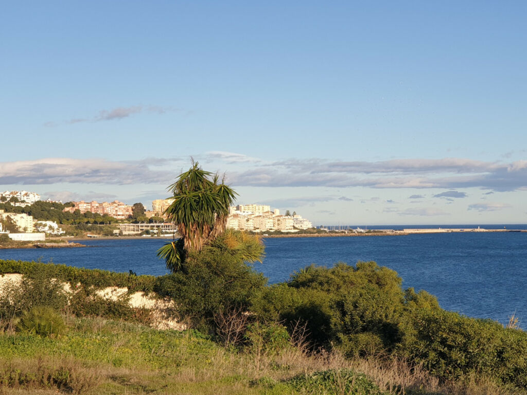 Detached Villa Estepona Málaga - image 34
