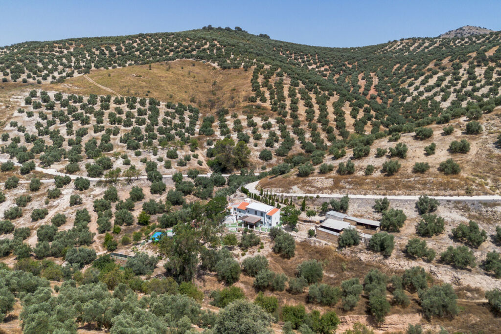 Finca - Cortijo Cuevas De San Marcos Málaga - image 35