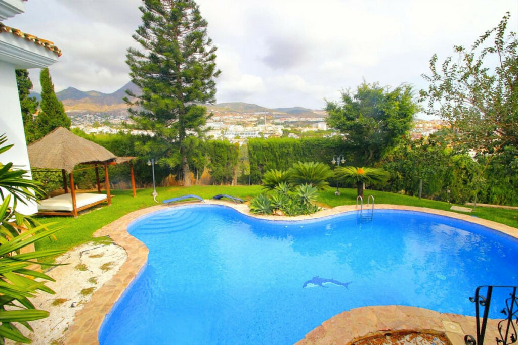 Detached Villa Benalmadena Málaga - image 36