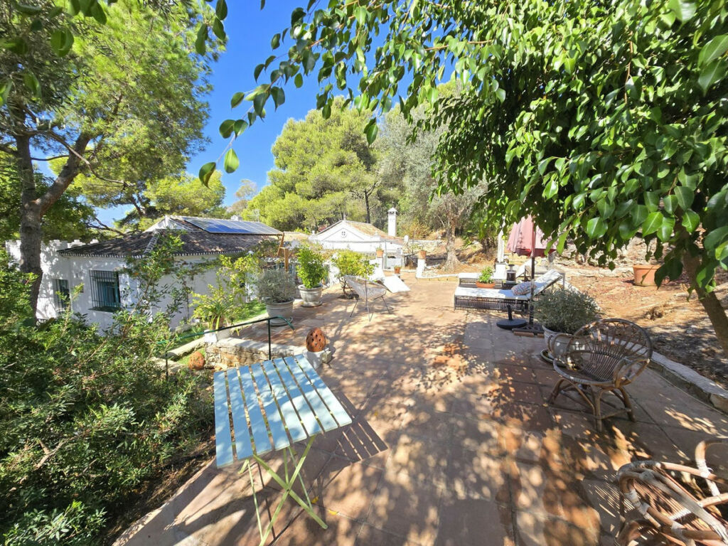 Detached Villa Marbella Málaga - image 37