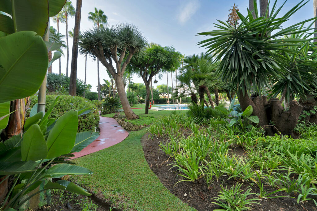 Middle Floor Apartment Estepona Málaga - image 37