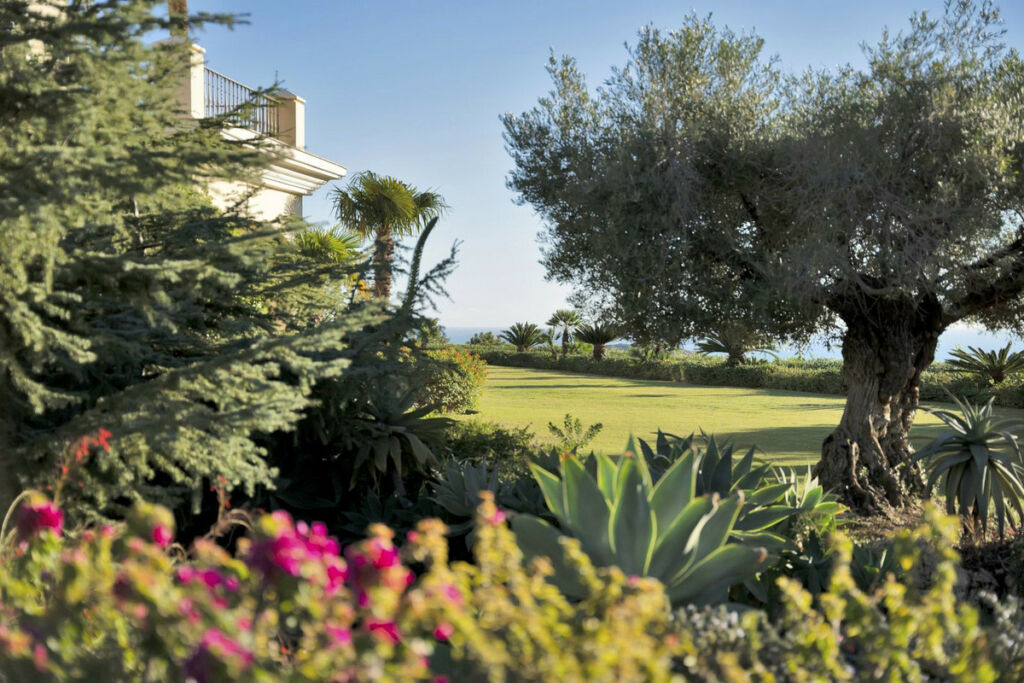Detached Villa Benahavís Málaga - image 38