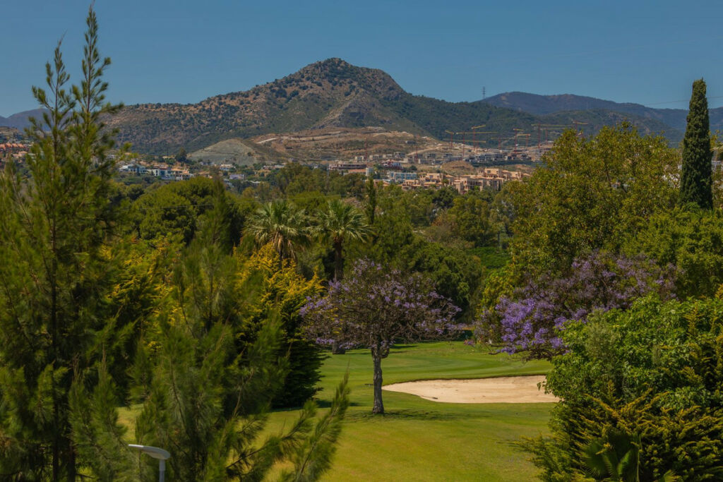 Detached Villa Guadalmina Alta Málaga - image 39