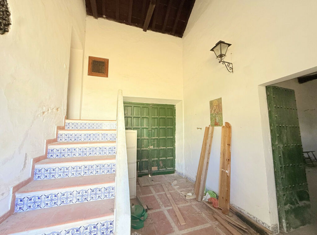 Finca - Cortijo Arcos de la Frontera Cádiz - image 39
