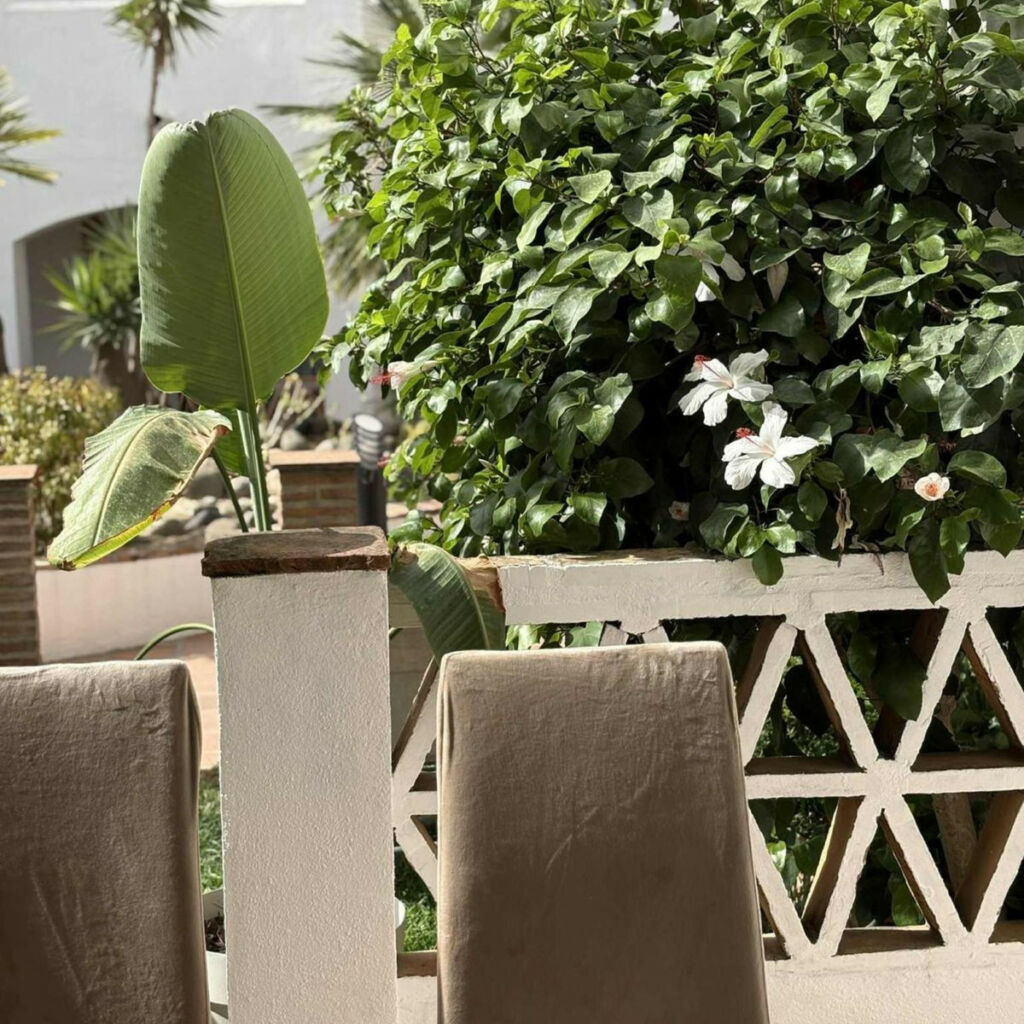 Ground Floor Apartment Marbella Málaga - image 4