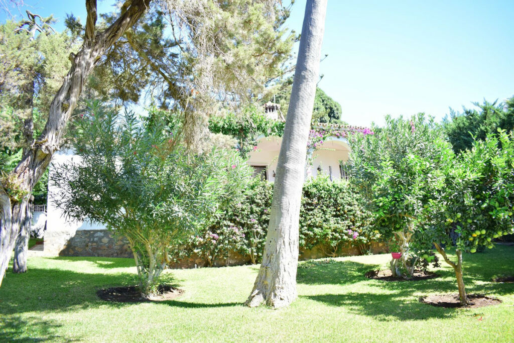 Finca - Cortijo Marbesa Málaga - image 4