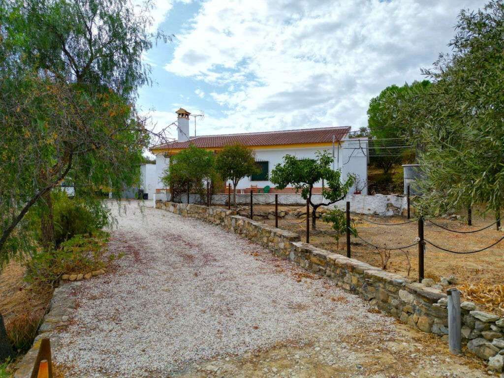 Finca - Cortijo Alora Málaga - image 4