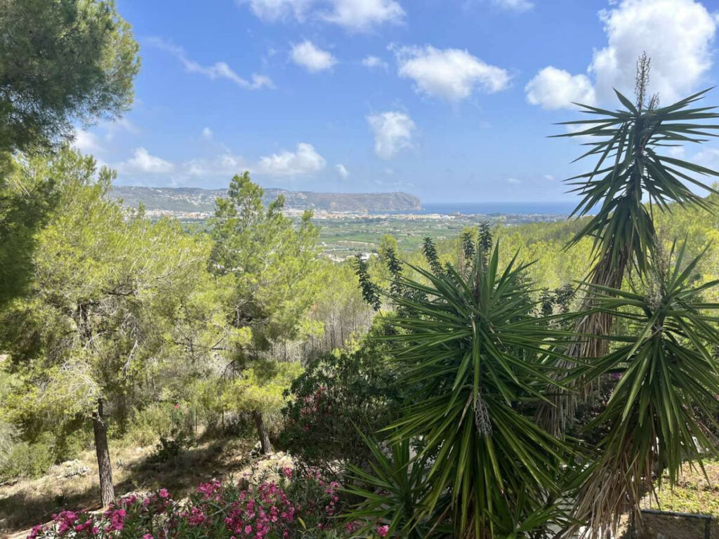 Detached Villa Javea Alicante - image 4