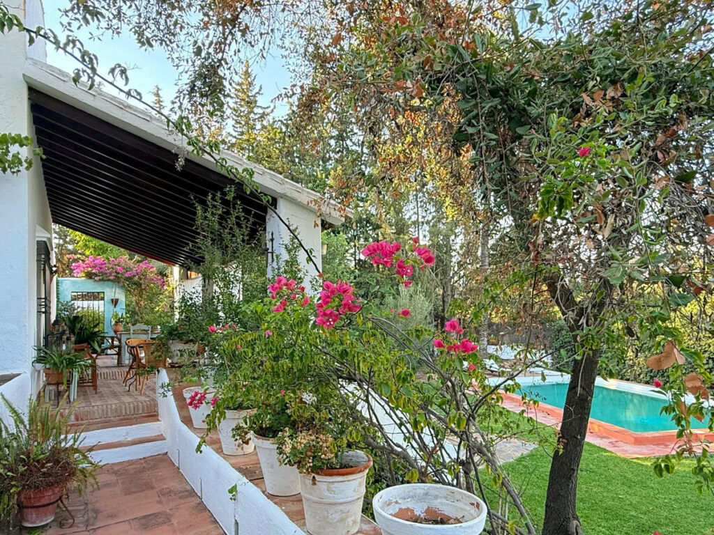 Finca - Cortijo Alora Málaga - image 4