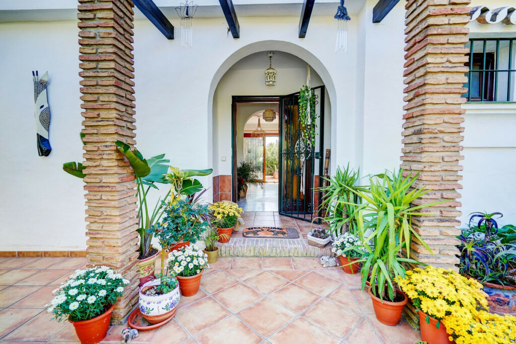 Detached Villa Calahonda Málaga - image 4