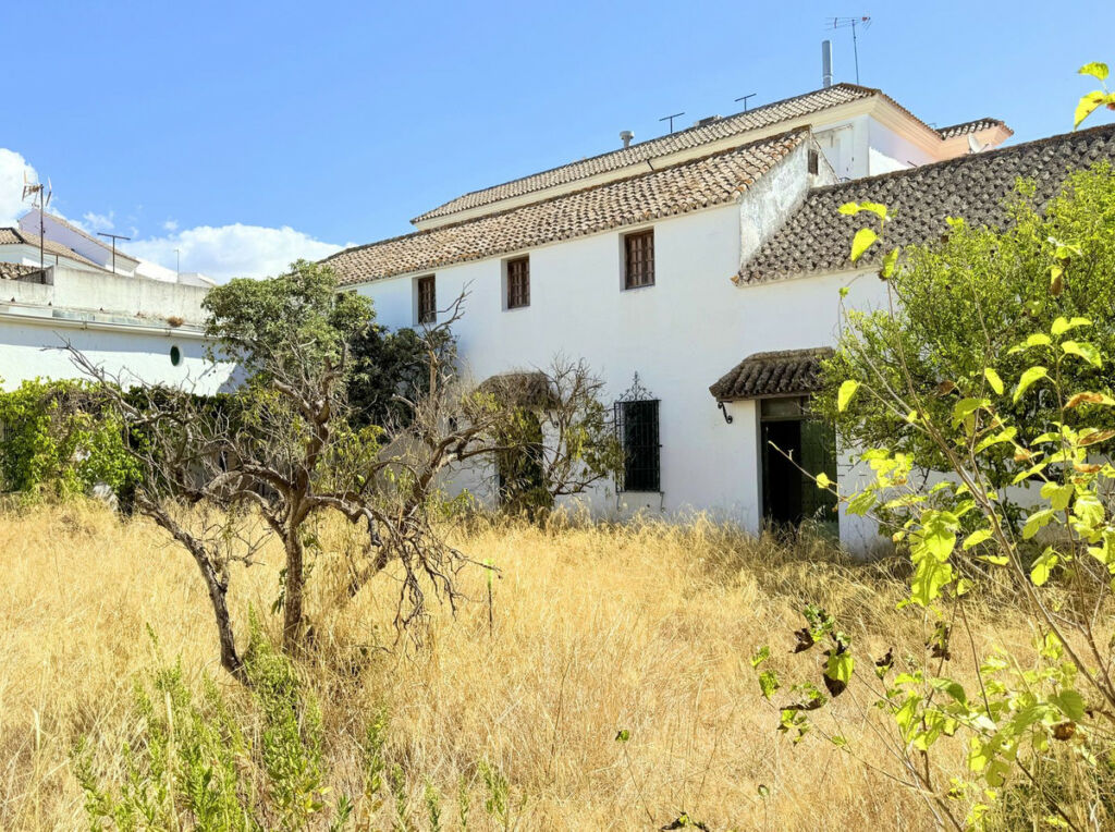 Finca - Cortijo Arcos de la Frontera Cádiz - image 4