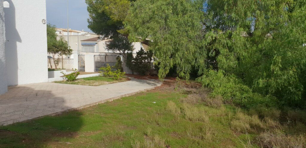 Detached Villa La Zenia Alicante - image 4