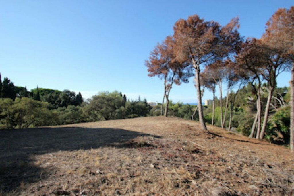 Residential Plot Hacienda Las Chapas Málaga - image 4