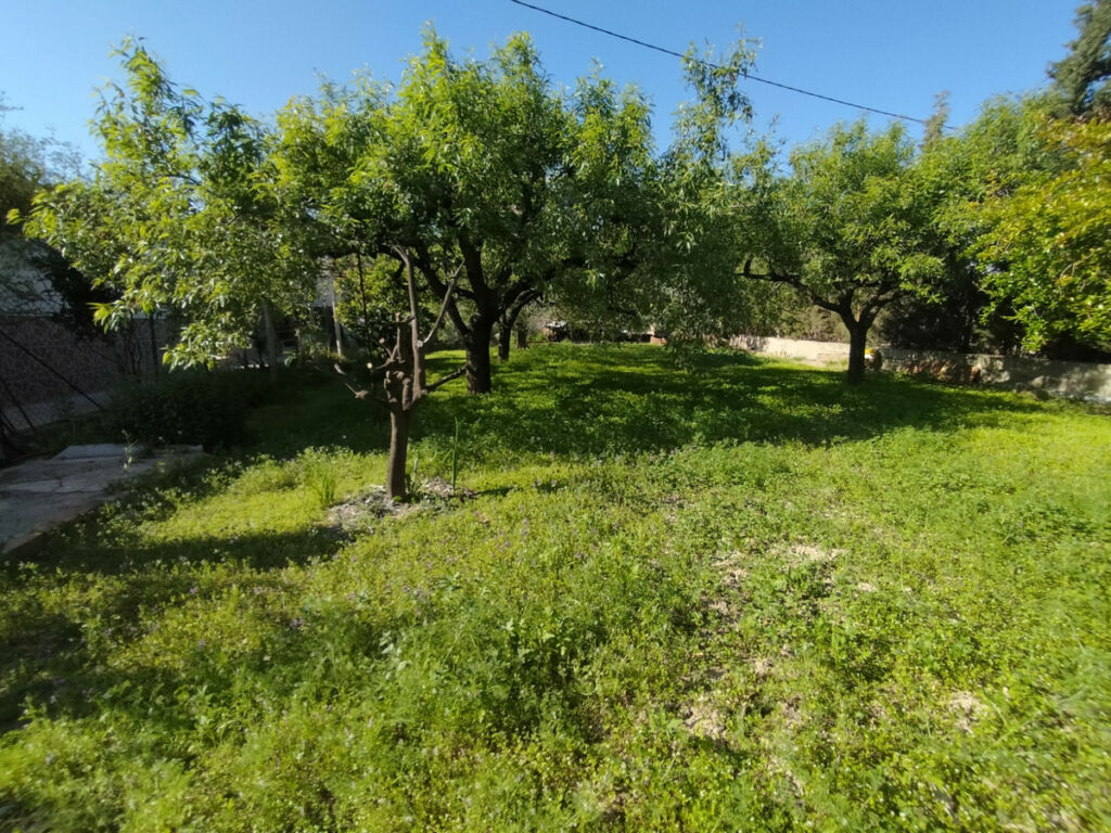 Detached Villa Elda Alicante - image 4