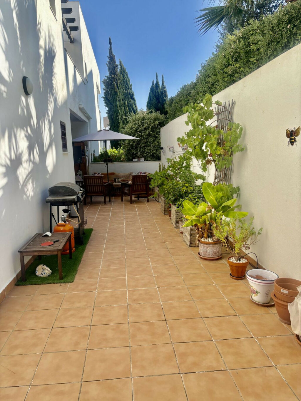 Ground Floor Apartment Cádiz Cádiz - image 4