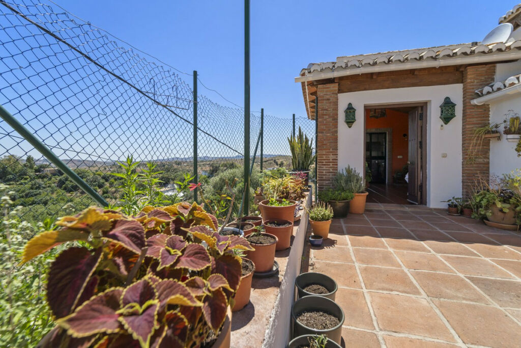 Finca - Cortijo Mijas Málaga - image 40