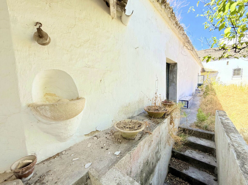 Finca - Cortijo Arcos de la Frontera Cádiz - image 40
