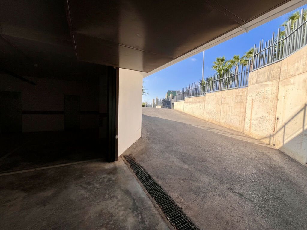 Detached Villa Los Dolses Alicante - image 41