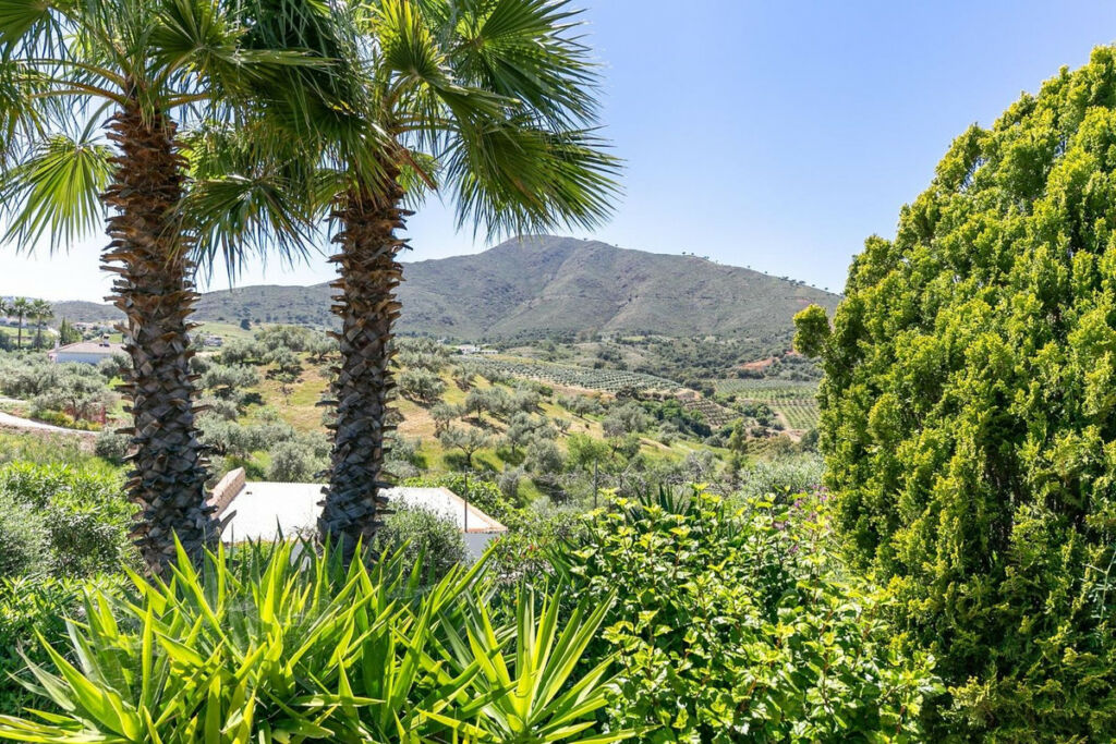 Finca - Cortijo Mijas Málaga - image 41