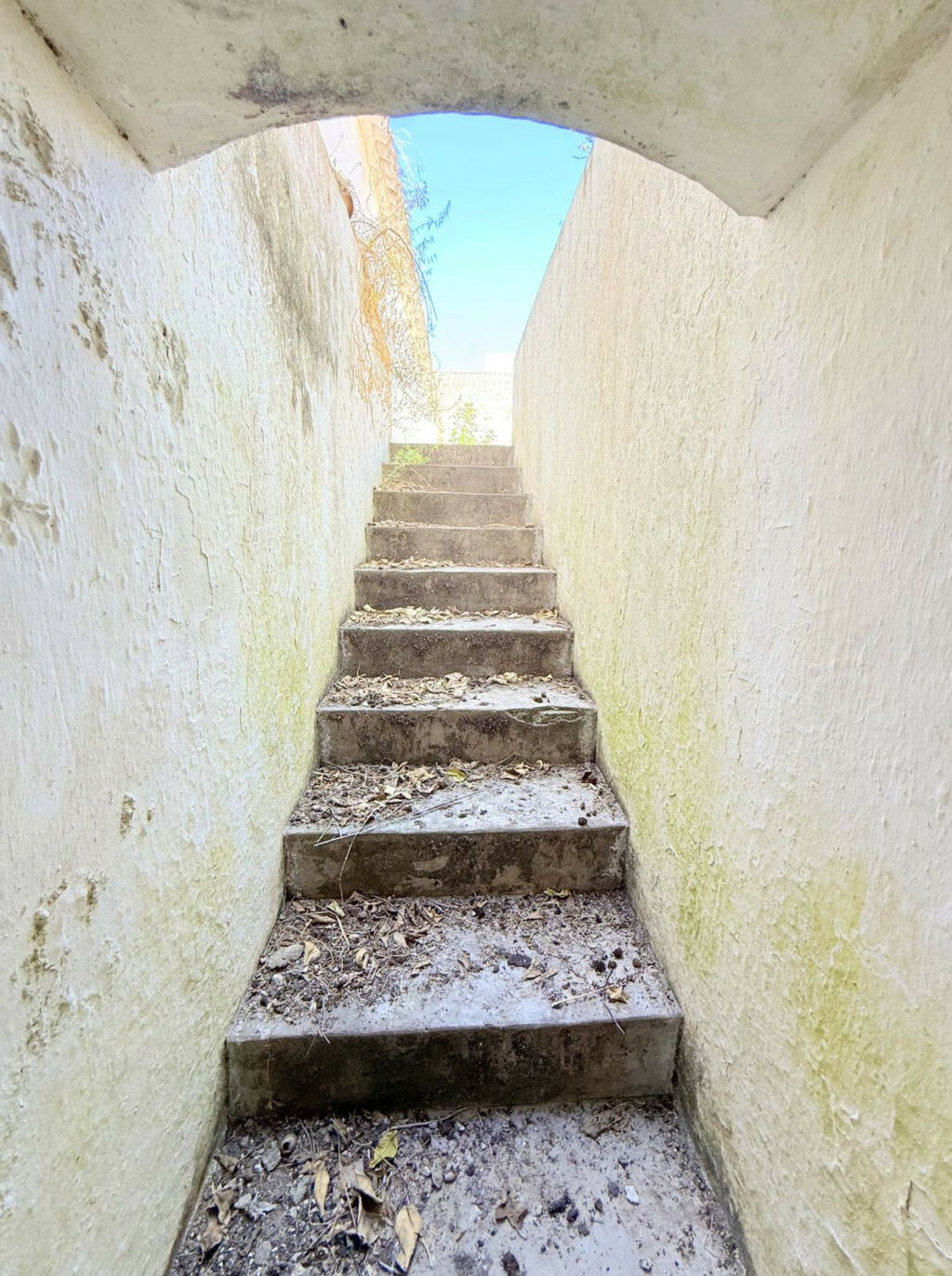 Finca - Cortijo Arcos de la Frontera Cádiz - image 42