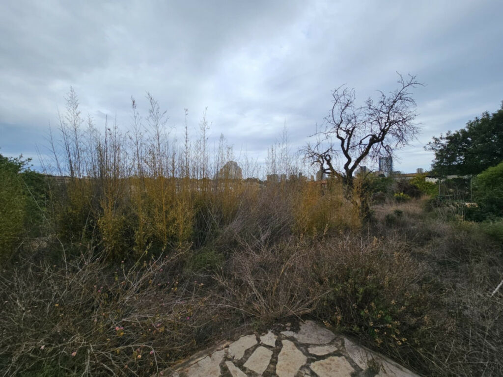 Finca - Cortijo Calpe Alicante - image 42