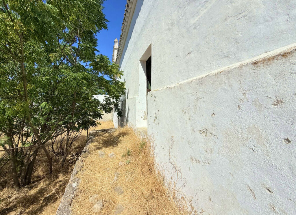 Finca - Cortijo Arcos de la Frontera Cádiz - image 43