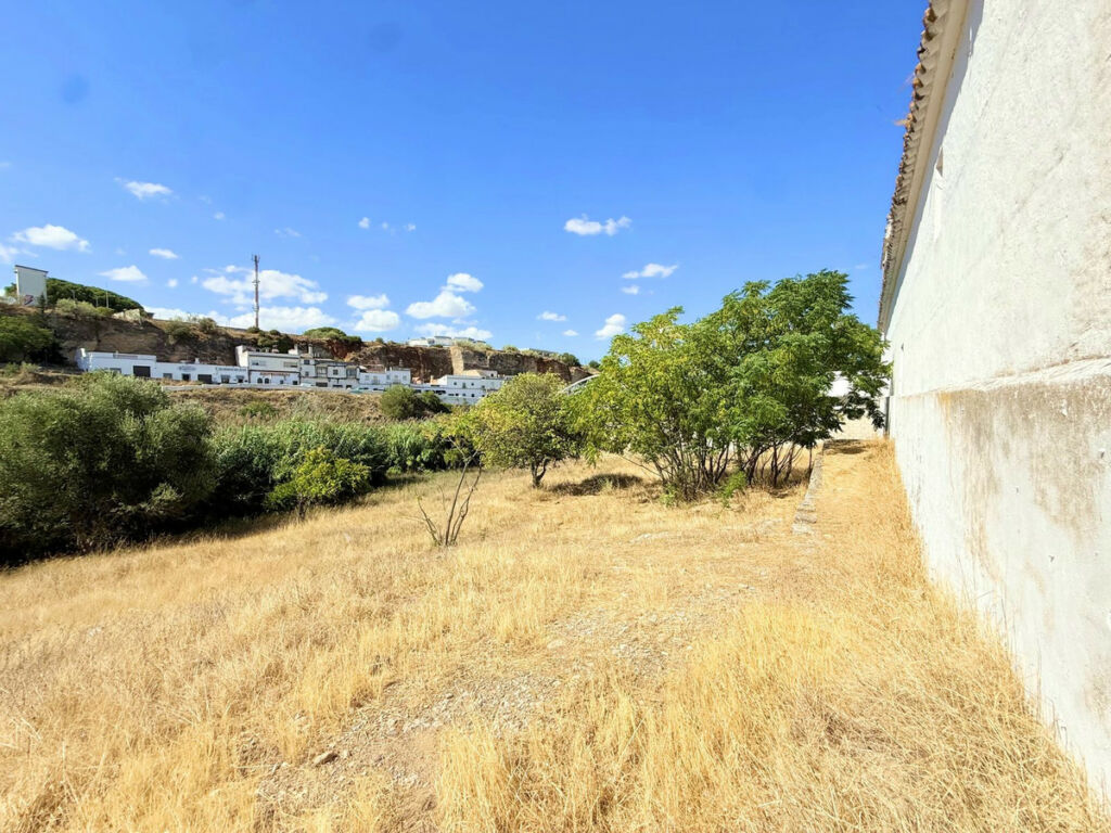 Finca - Cortijo Arcos de la Frontera Cádiz - image 44