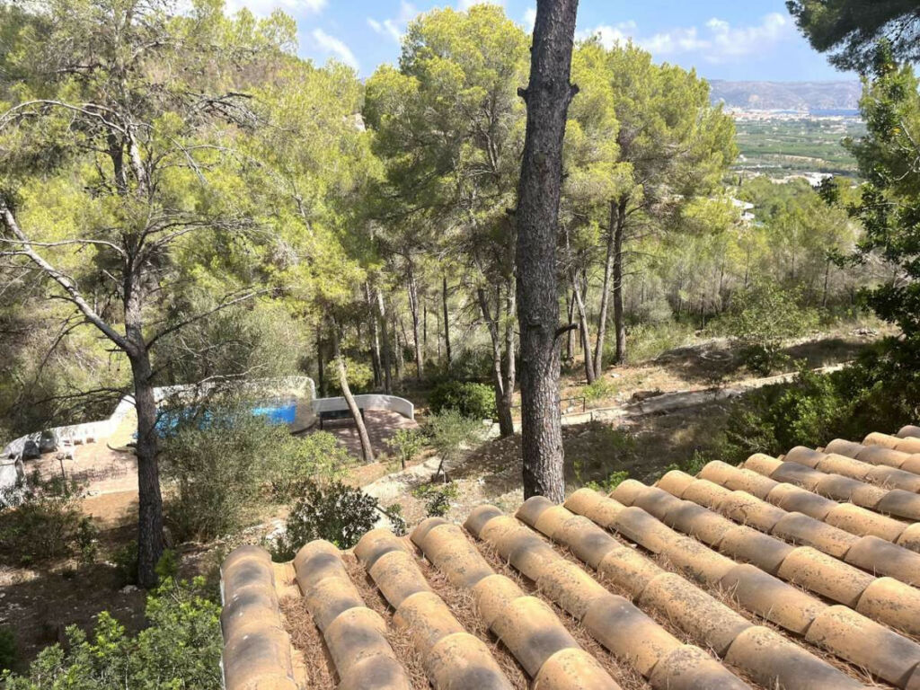Detached Villa Javea Alicante - image 45